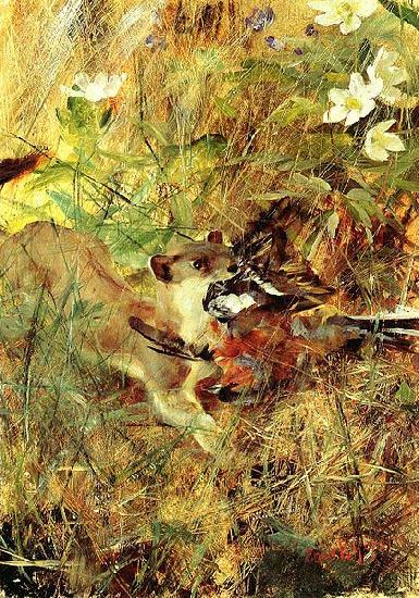 bruno liljefors Weasel with Chaffinch oil painting image